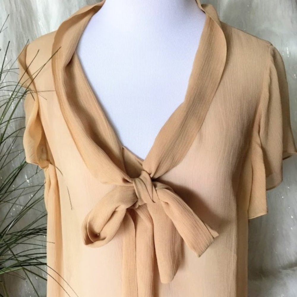 St. John 100% Silk nude sheer flutter sleeve top